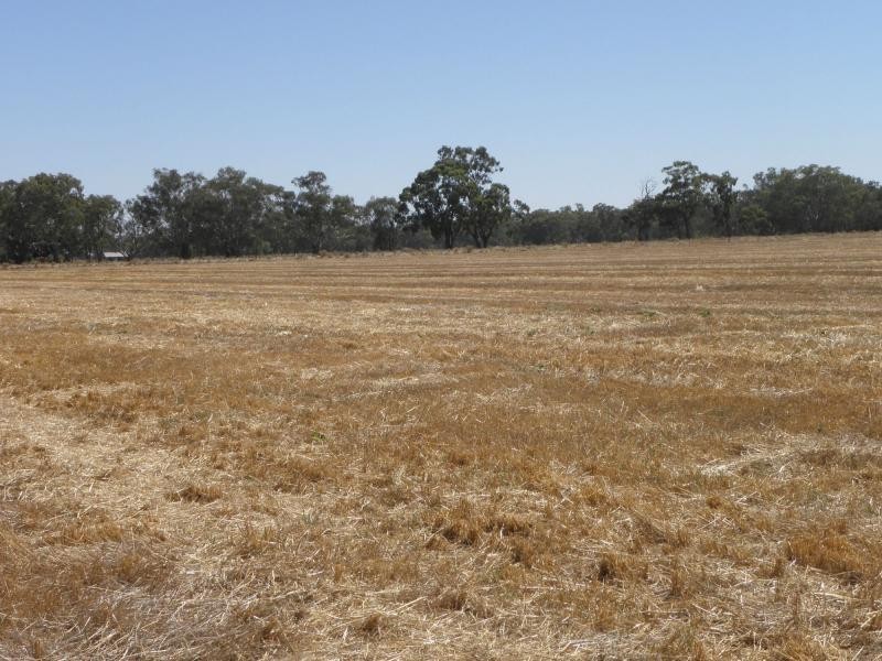 1094 Bearii East Road, Strathmerton VIC 3641