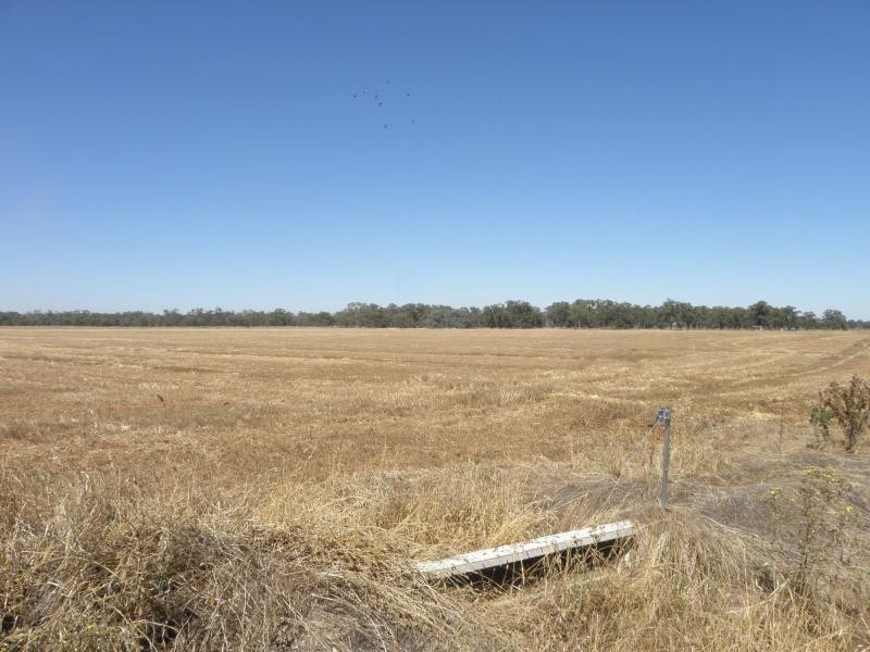 1094 Bearii East Road, Strathmerton VIC 3641