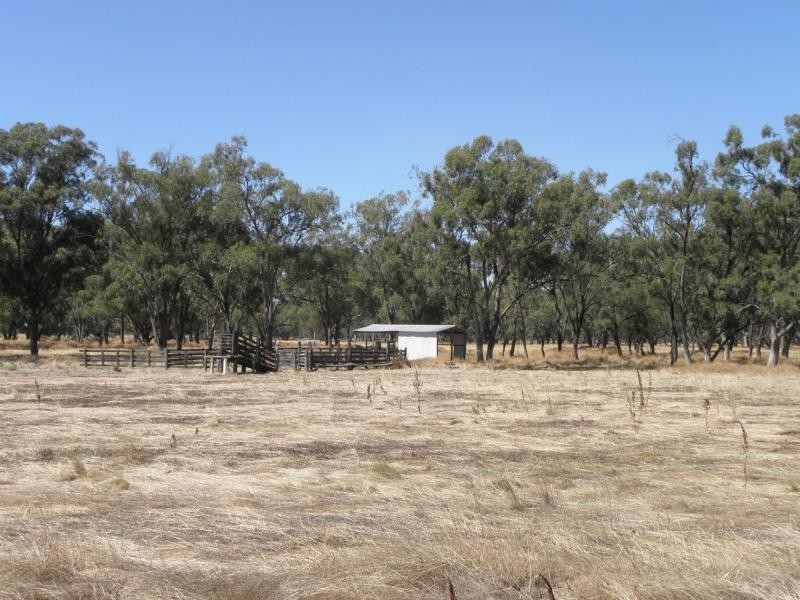 1094 Bearii East Road, Strathmerton VIC 3641