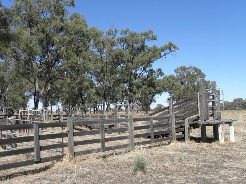 1094 Bearii East Road, Strathmerton VIC 3641