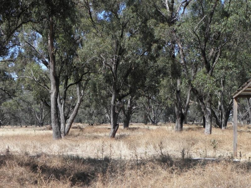 1094 Bearii East Road, Strathmerton VIC 3641