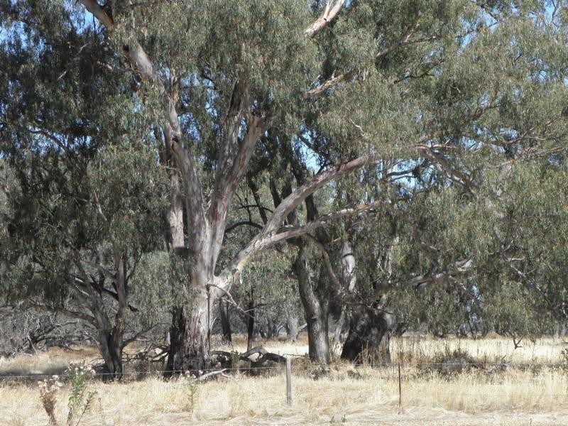 1094 Bearii East Road, Strathmerton VIC 3641