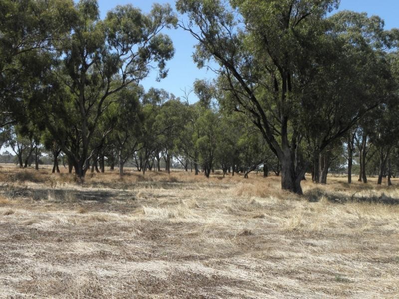 1094 Bearii East Road, Strathmerton VIC 3641