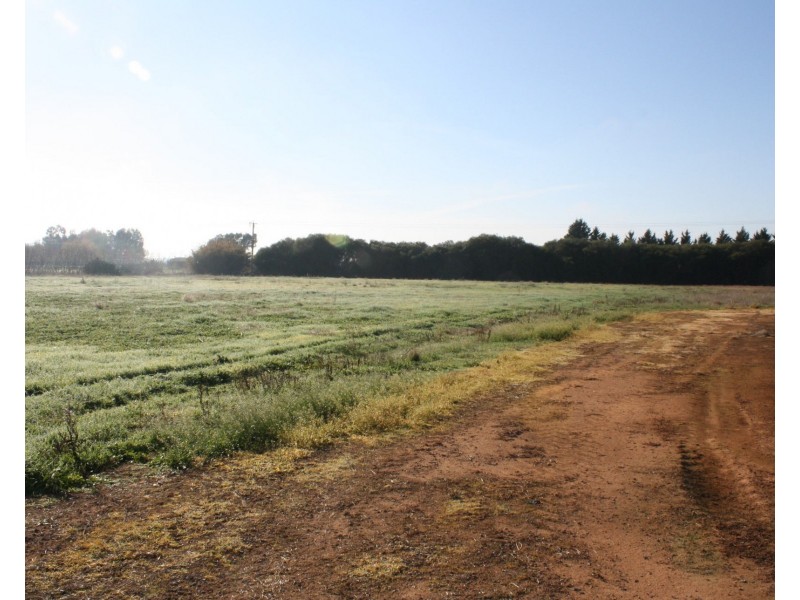 102 Cobram South Road, Cobram VIC 3644