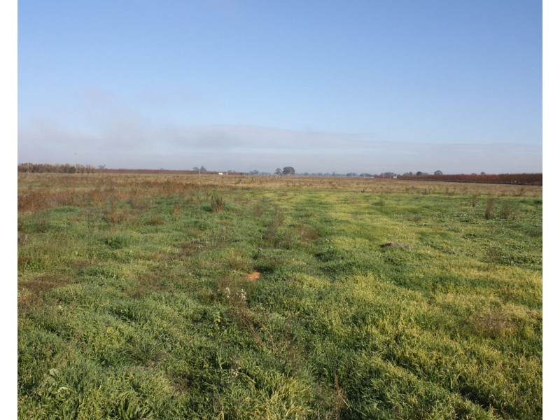 102 Cobram South Road, Cobram VIC 3644