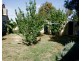 Cobram VIC 3644