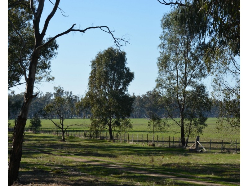 . Haynes Road St, Bearii VIC 3641