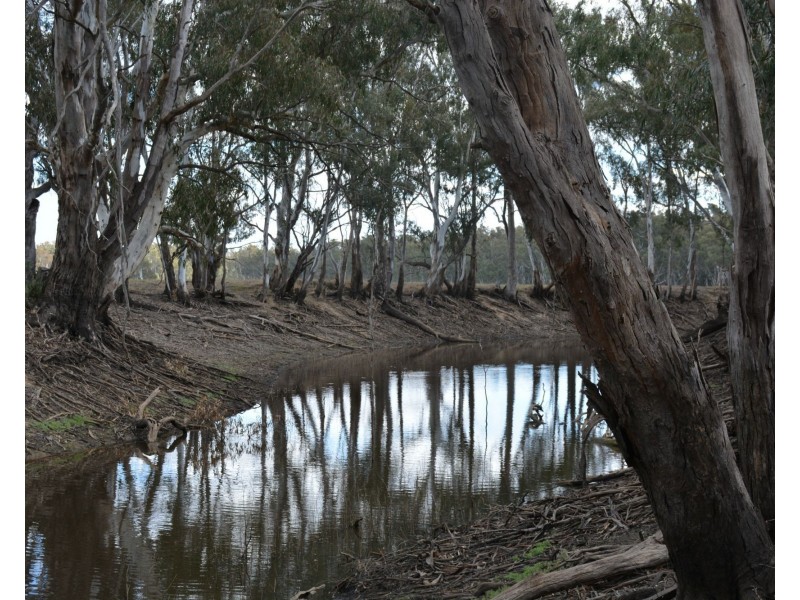. Haynes Road St, Bearii VIC 3641