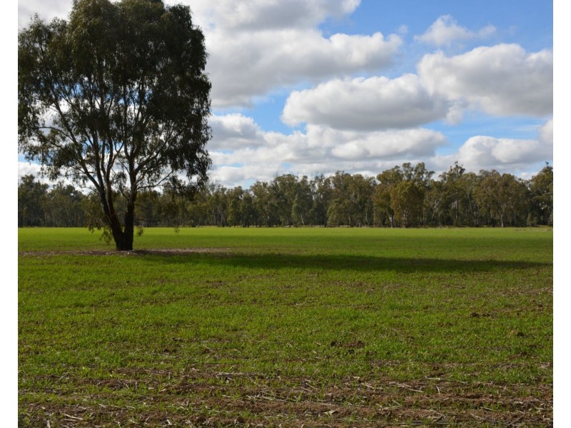 . Haynes Road St, Bearii VIC 3641