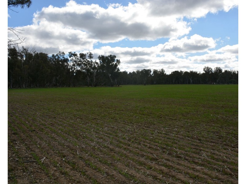 . Haynes Road St, Bearii VIC 3641