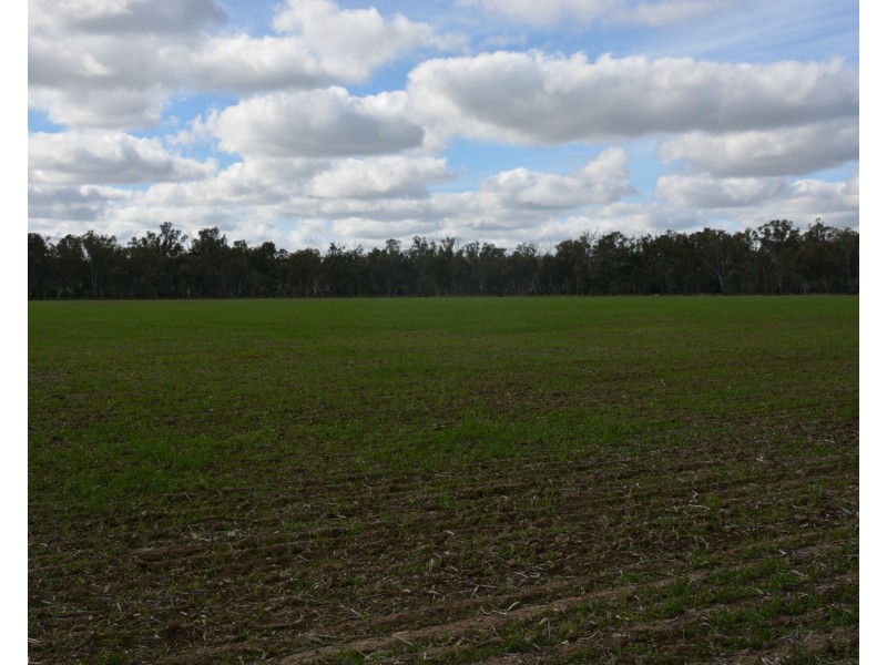 . Haynes Road St, Bearii VIC 3641