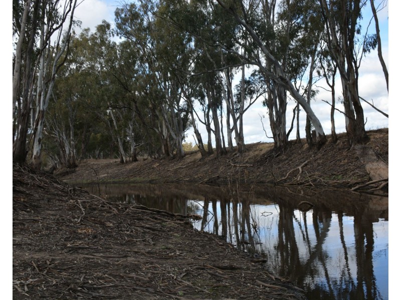 . Haynes Road St, Bearii VIC 3641