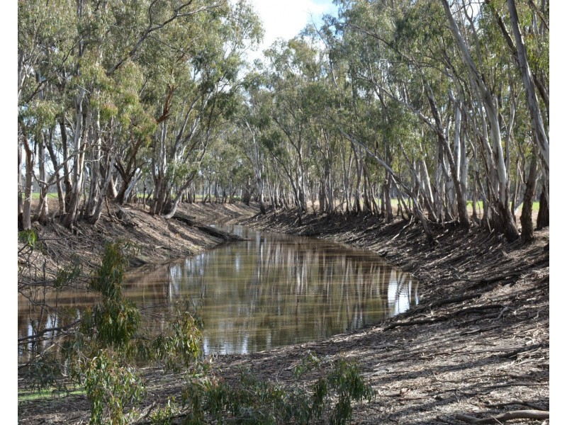 . Haynes Road St, Bearii VIC 3641
