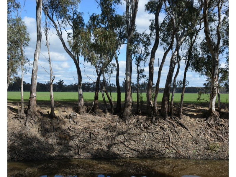 . Haynes Road St, Bearii VIC 3641