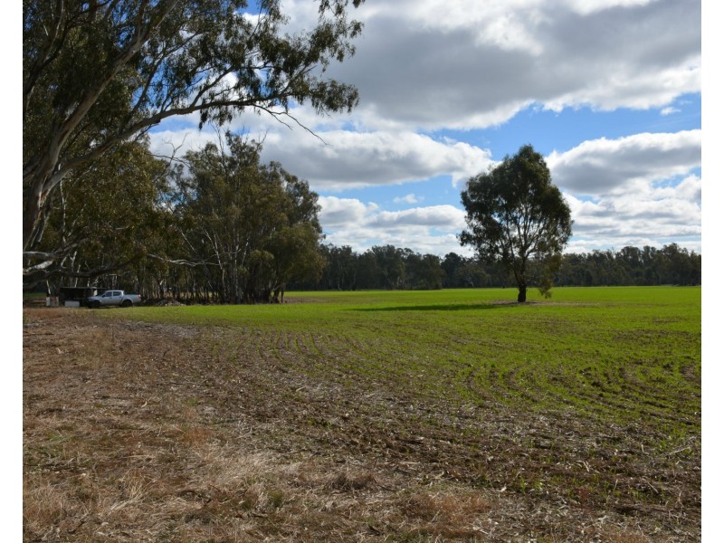 . Haynes Road St, Bearii VIC 3641