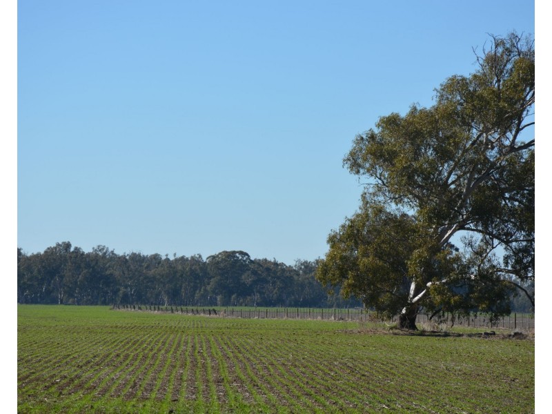 . Haynes Road St, Bearii VIC 3641