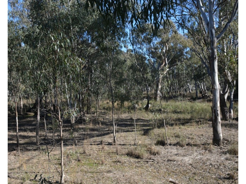 . Haynes Road St, Bearii VIC 3641