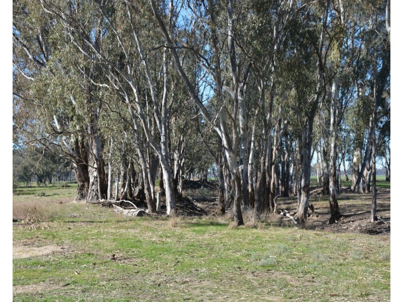 . Haynes Road St, Bearii VIC 3641