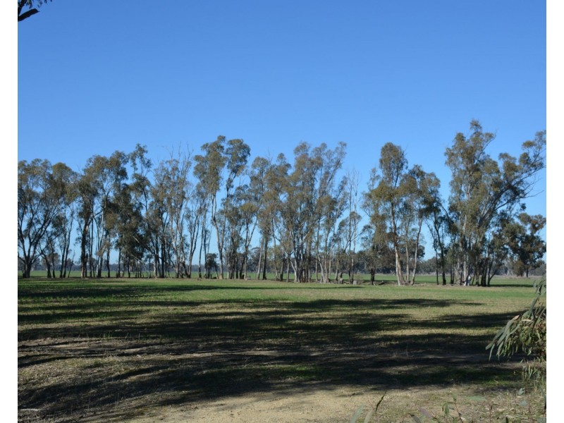 . Haynes Road St, Bearii VIC 3641