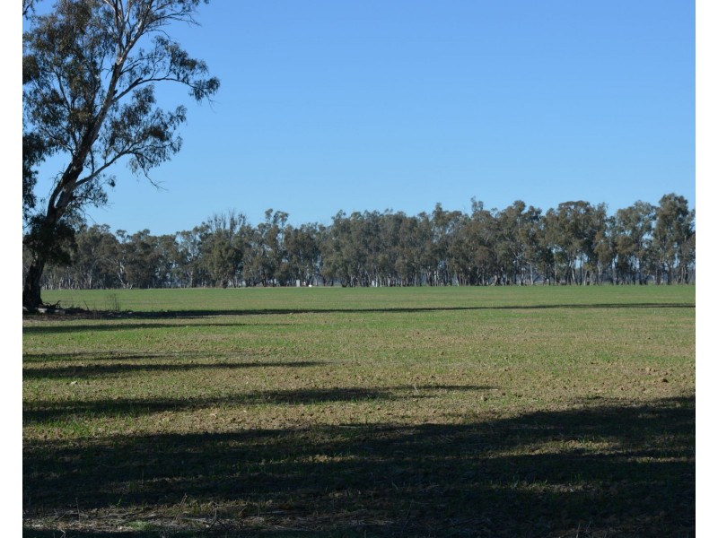 . Haynes Road St, Bearii VIC 3641