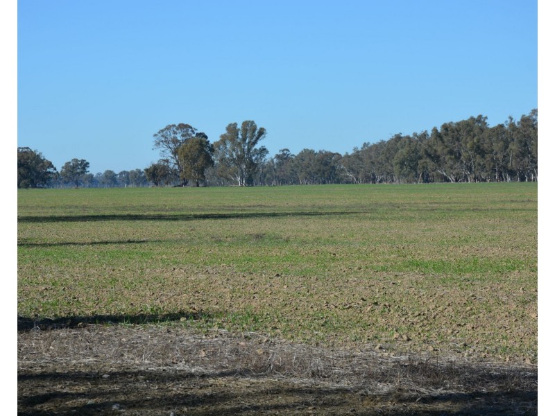 . Haynes Road St, Bearii VIC 3641