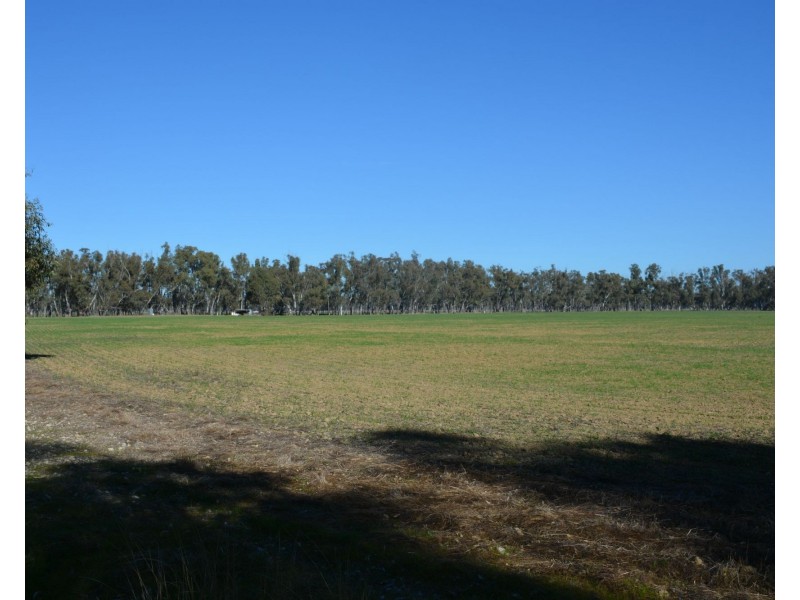 . Haynes Road St, Bearii VIC 3641