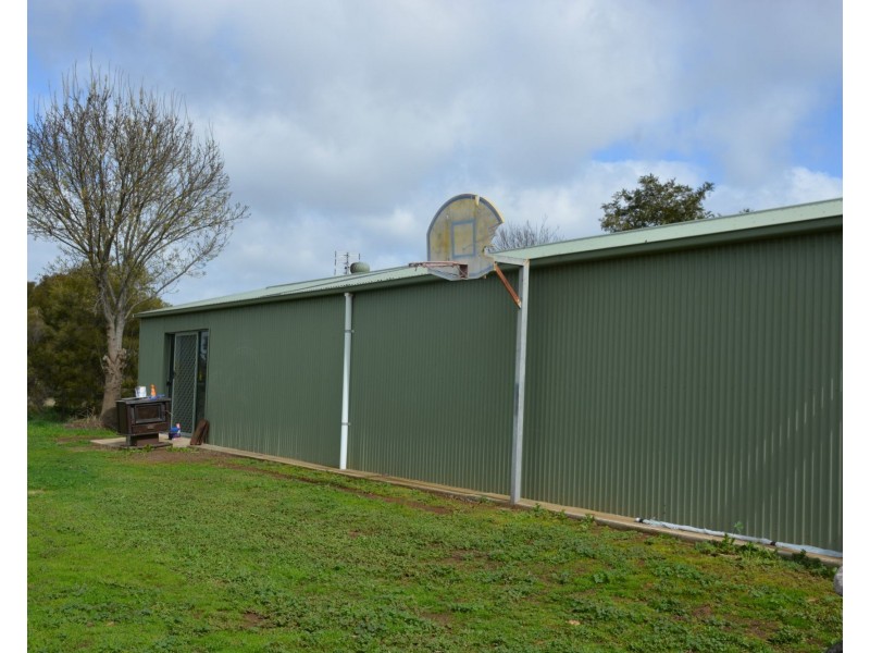 3391 Tocumwal-Barooga Road, Barooga VIC 3644