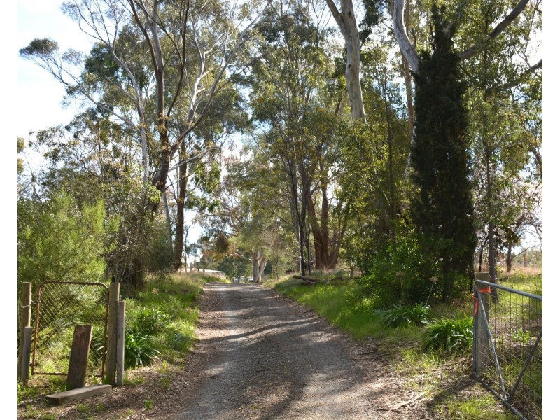 79 Nangunia Street, Barooga NSW 3644