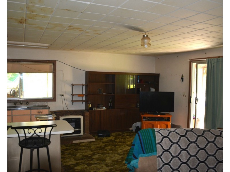 79 Nangunia Street, Barooga NSW 3644