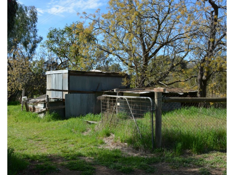 79 Nangunia Street, Barooga NSW 3644