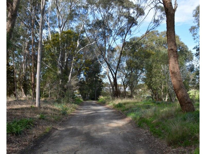 79 Nangunia Street, Barooga NSW 3644