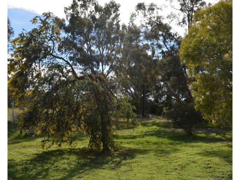 79 Nangunia Street, Barooga NSW 3644