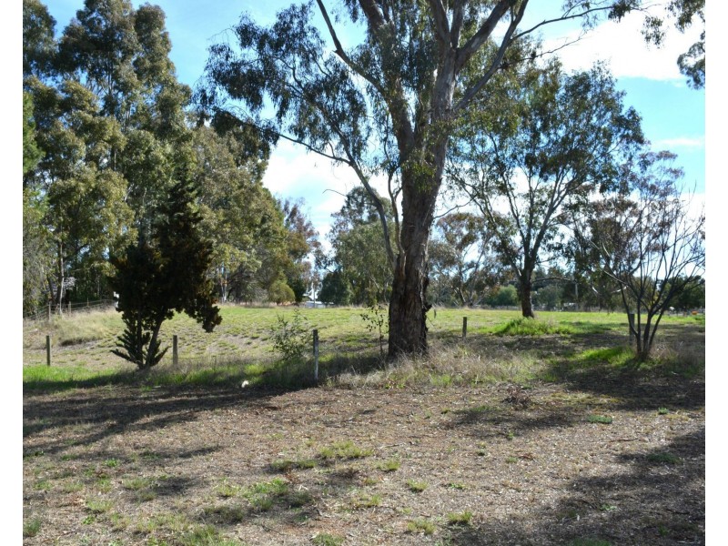 79 Nangunia Street, Barooga NSW 3644