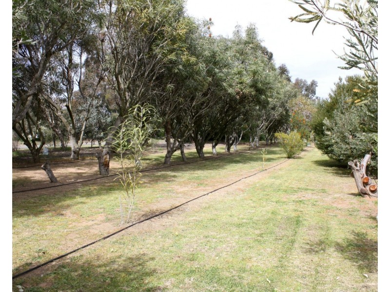 14 Barnes Road, Cobram VIC 3644