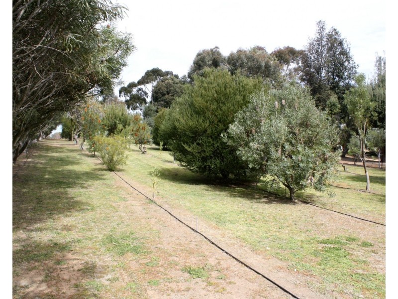 14 Barnes Road, Cobram VIC 3644