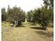 14 Barnes Road, Cobram VIC 3644