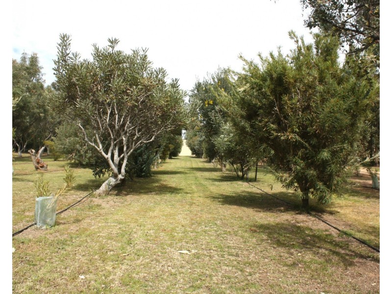 14 Barnes Road, Cobram VIC 3644