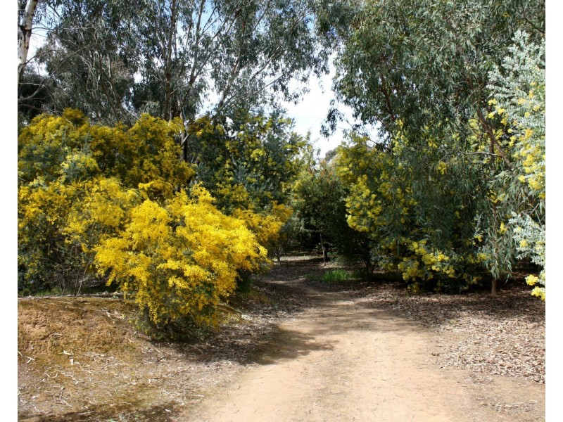 14 Barnes Road, Cobram VIC 3644