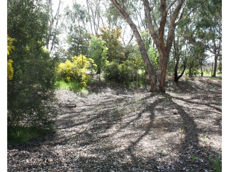 14 Barnes Road, Cobram VIC 3644