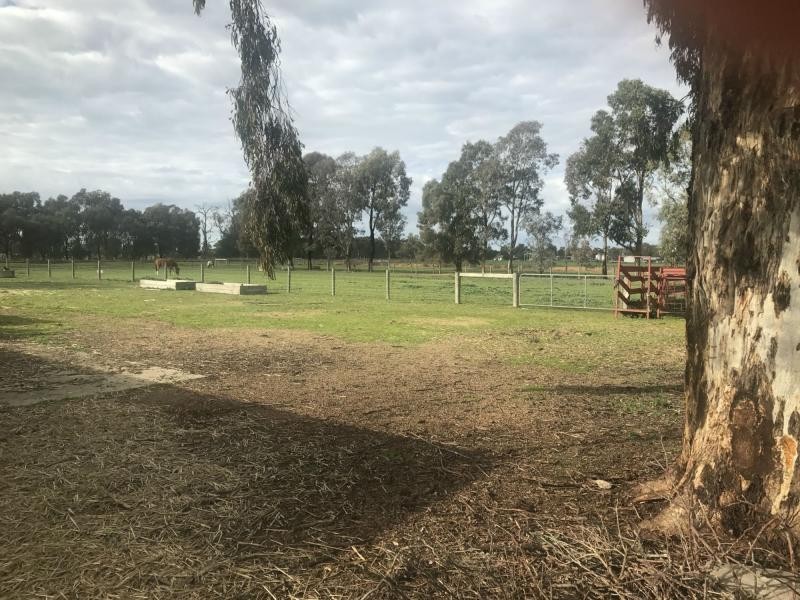 7 Ross Road, Cobram VIC 3644