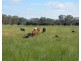 6822 Goulburn Valley Highway, Yarroweyah VIC 3644