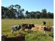 6822 Goulburn Valley Highway, Yarroweyah VIC 3644