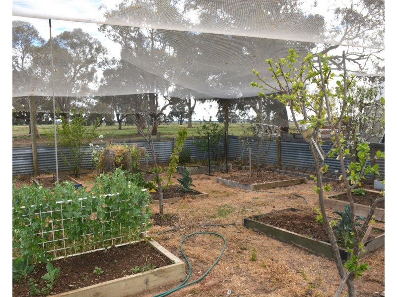 850 Cottons Road, Cobram VIC 3644