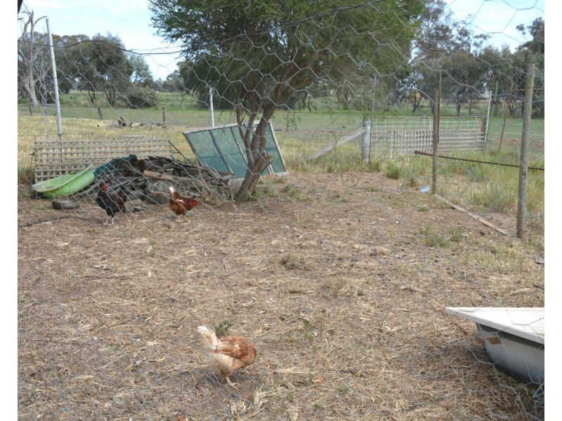 850 Cottons Road, Cobram VIC 3644