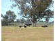 850 Cottons Road, Cobram VIC 3644