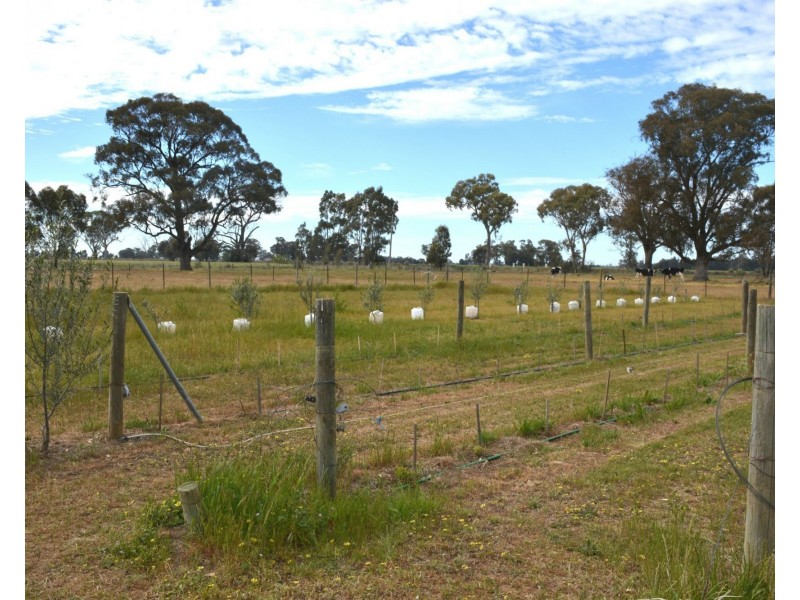 850 Cottons Road, Cobram VIC 3644