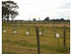 850 Cottons Road, Cobram VIC 3644