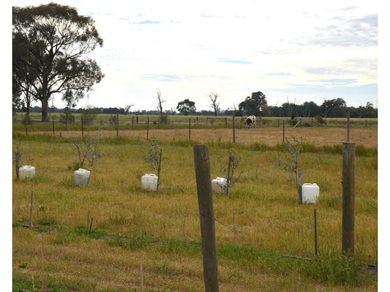 850 Cottons Road, Cobram VIC 3644