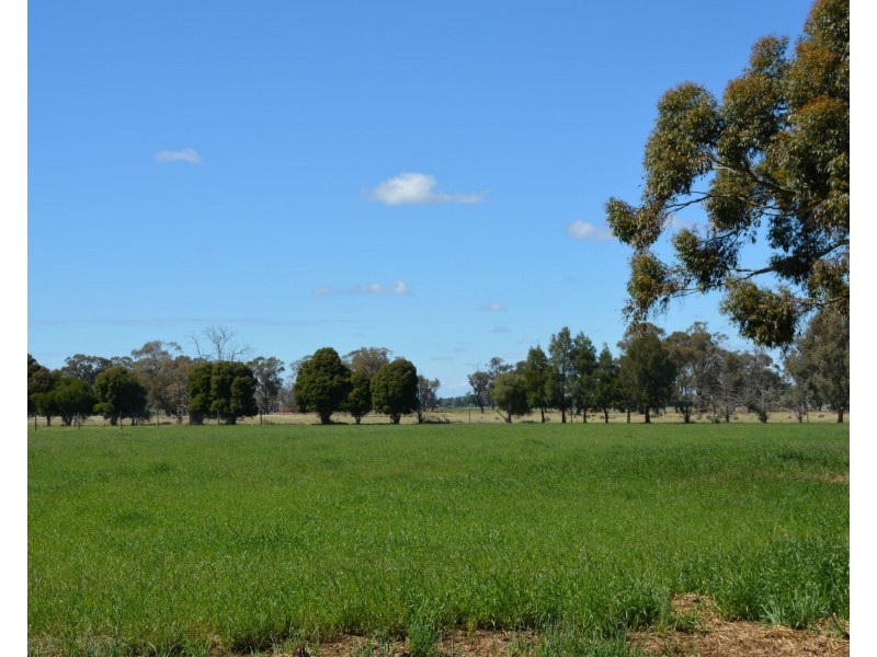 1724 Larissa Road, Yarroweyah VIC 3644