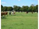 1724 Larissa Road, Yarroweyah VIC 3644